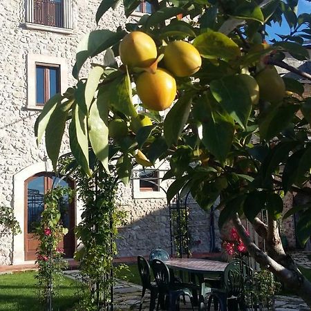 Alloggi Agrituristici Antica Dimora Villa San Demetrio ne' Vestini Exteriör bild