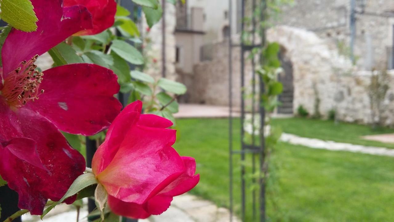 Alloggi Agrituristici Antica Dimora Villa San Demetrio ne' Vestini Exteriör bild